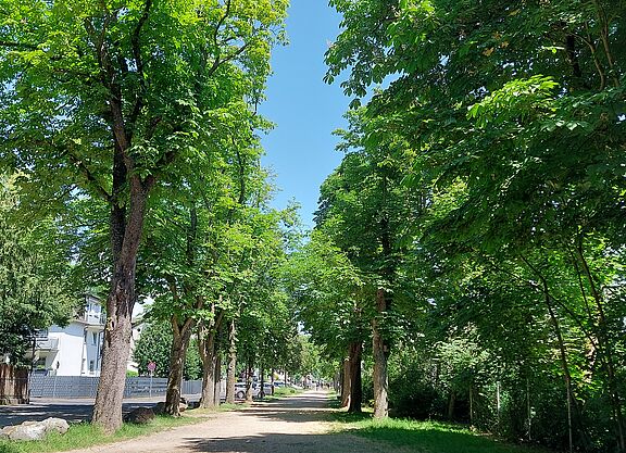 Blick in die Nassauer Straße