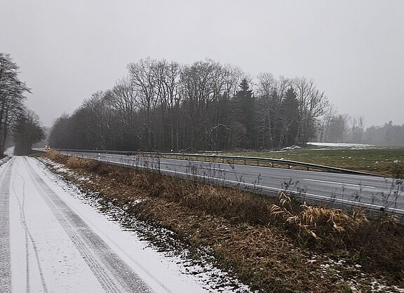 Räumung Anwandweg B304